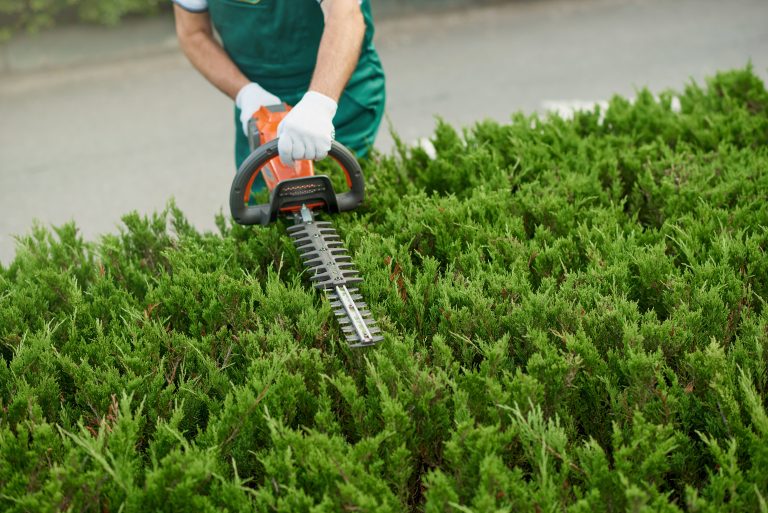 entretien jardin normandie