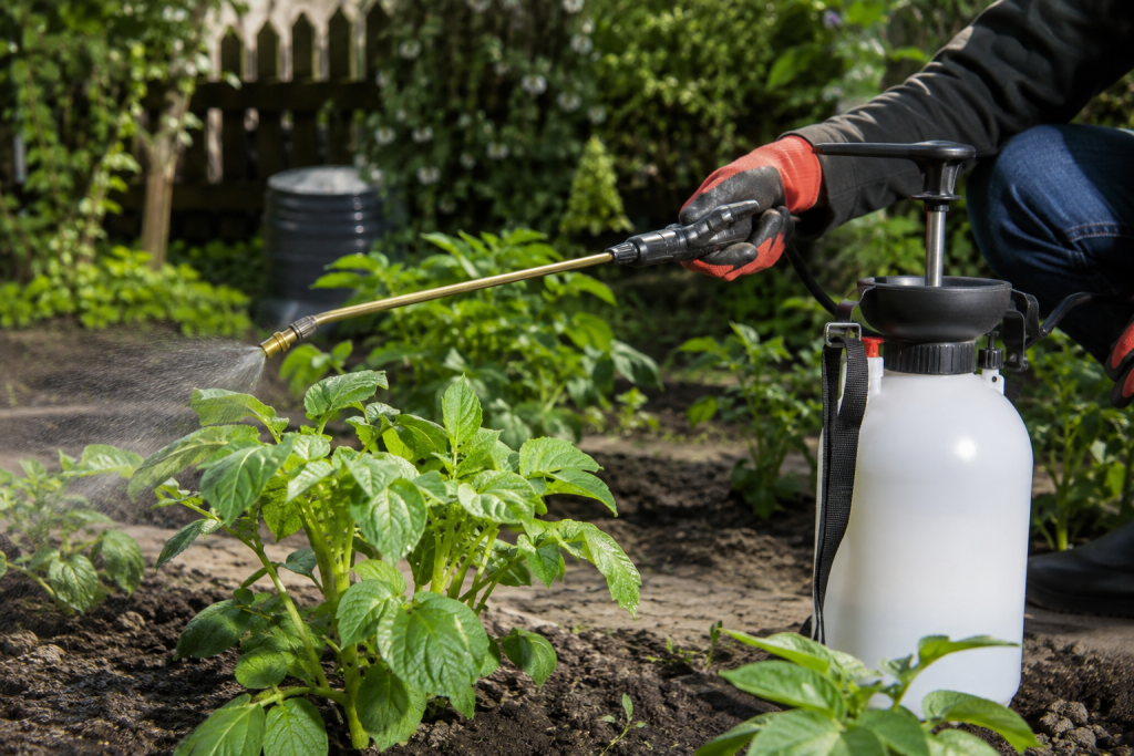 Traitement des nuisibles dans le jardin